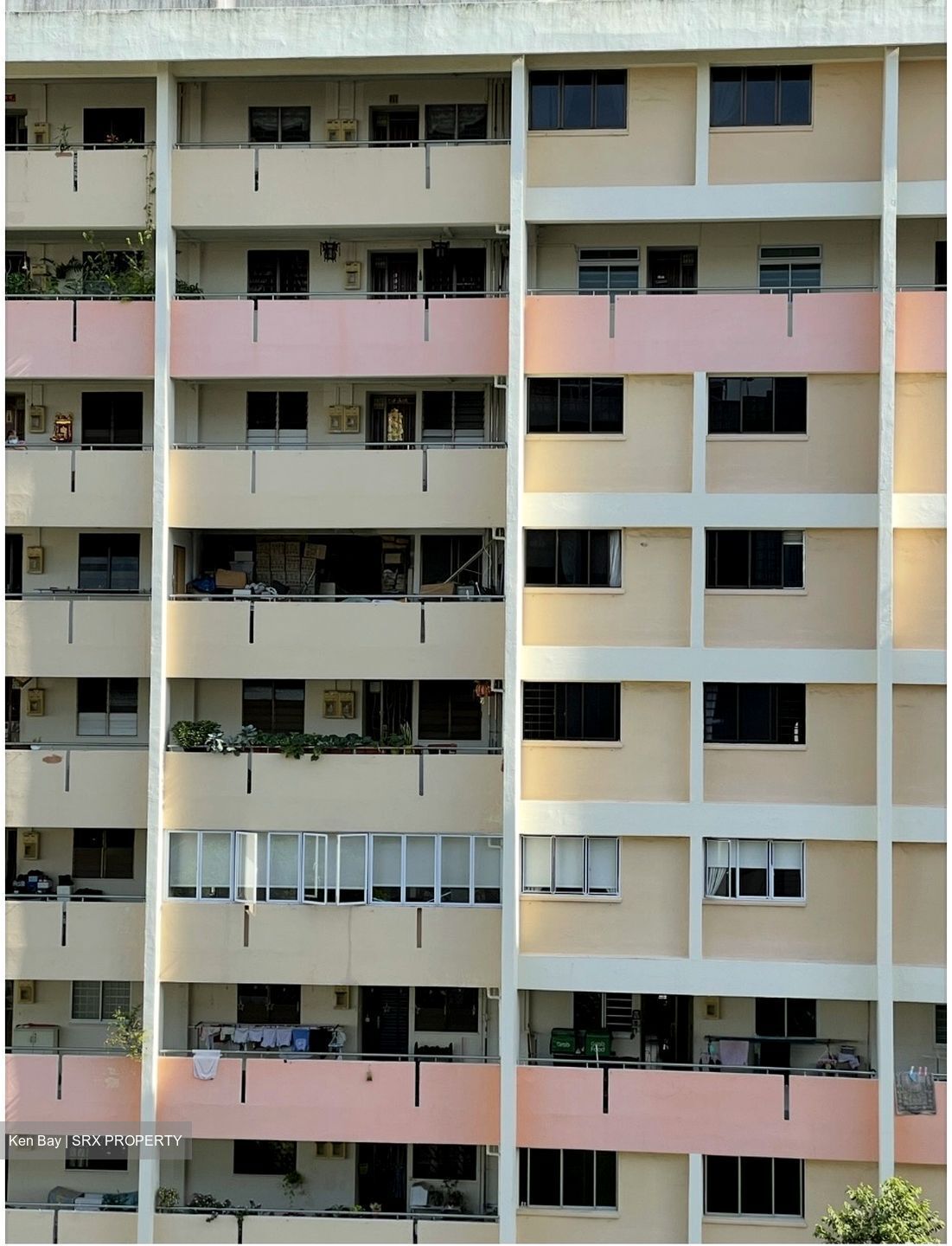 Blk 210 Ang Mo Kio Avenue 3 (Ang Mo Kio), HDB 4 Rooms #625557411